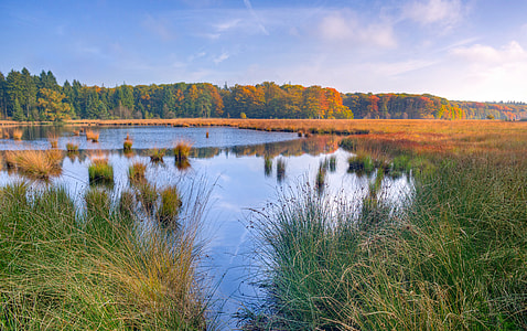 Marsh Landscape with water pools thumbnail