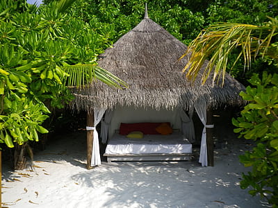 brown gazebo surrounded by trees thumbnail