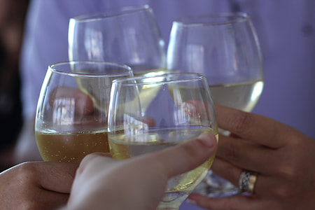 people having a toast thumbnail
