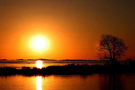 Silhouette photography lake and tree during sunset thumbnail