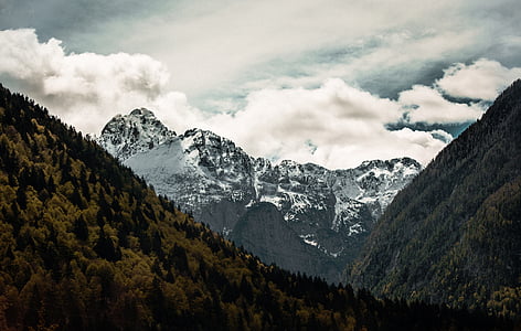 brown and green mountain range thumbnail