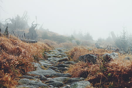 grey rocks covered with brown grass thumbnail