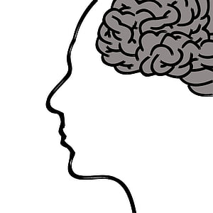 brain illustration thumbnail