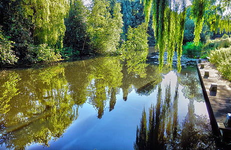 green trees near body of water thumbnail