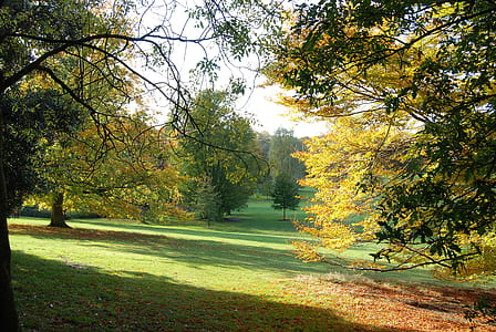 trees on field during daytime thumbnail