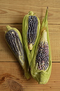 food, wood, leaf, corn thumbnail