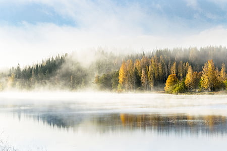 fog on the lake thumbnail