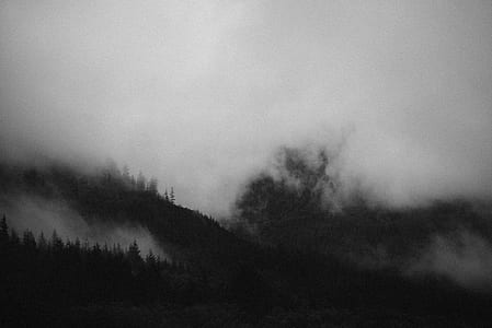 mountain covered with fog thumbnail