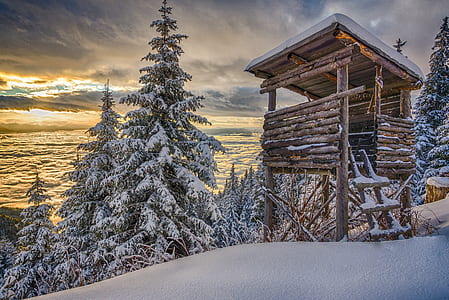 brown wooden house on white snow surface thumbnail