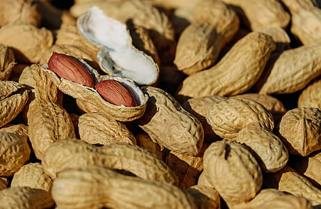 brown peanuts thumbnail