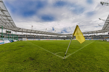yellow flaglet in middle of field thumbnail