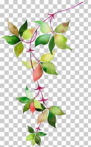 Flower Euclidean Icon, Watercolor leaves, green and red leaf PNG clipart