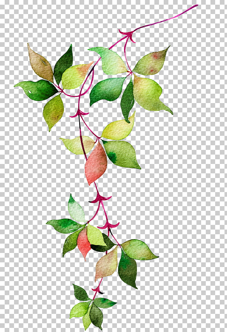 Flower Euclidean Icon, Watercolor leaves, green and red leaf PNG clipart