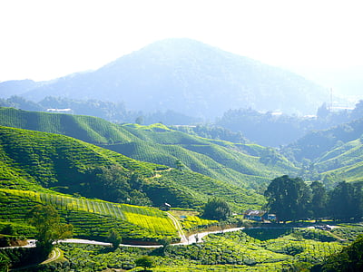 photography of field and road thumbnail