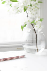 indoor, interior, plant, flower, vase, glass thumbnail
