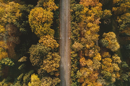 Railway in the autumn forest aerial view thumbnail