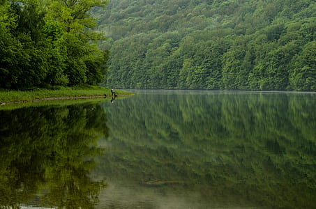bodies of water near forest thumbnail