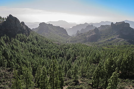 aerial view photography of mountain surrounded of trees thumbnail