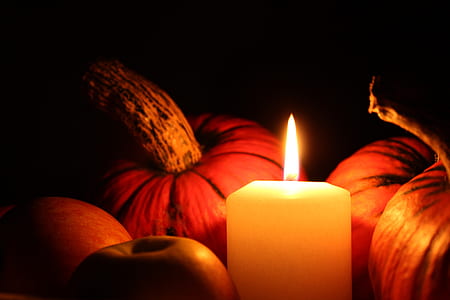 white votive candle beside pumpkins thumbnail