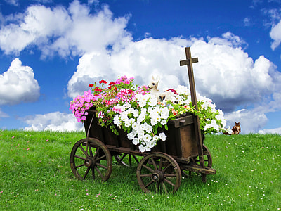 photo of white, pink, and red petaled flowers in wagon surrounded by green grass during daytime thumbnail