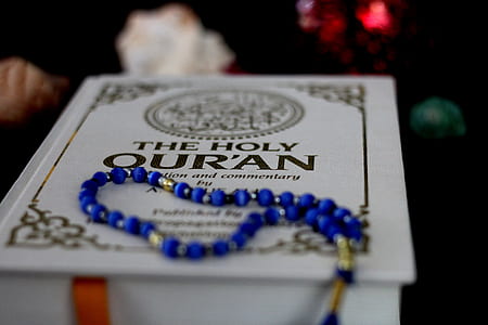 The Holy Quran box thumbnail