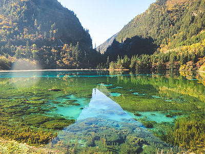clear body of water surrounded with tall trees under calm sky thumbnail