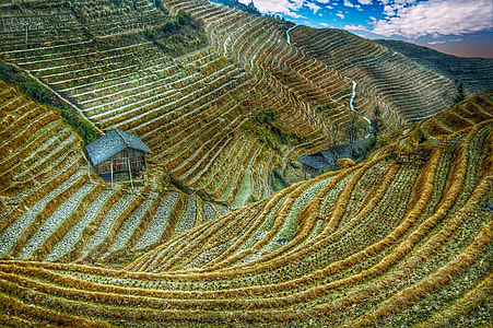 landscape photography of brown and green rice terraces thumbnail