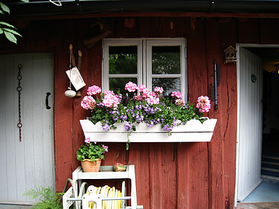 pink petaled flowers in white container outside house during daytime thumbnail
