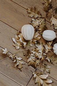 White pumpkins with golden oak leaves thumbnail