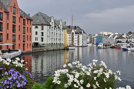 buildings near body of water with boats thumbnail