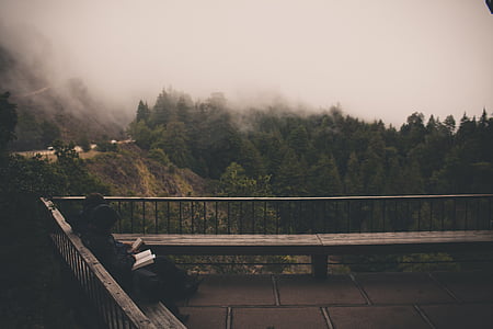 two people sitting while reading books outdoor thumbnail