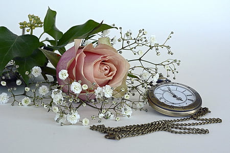 pink rose and round silver-colored pocket watch thumbnail