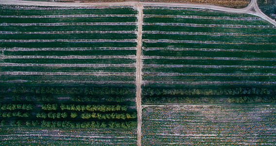 air photo, aerial, drone, nature thumbnail