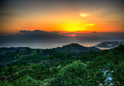 green forest near seashore during sunset thumbnail