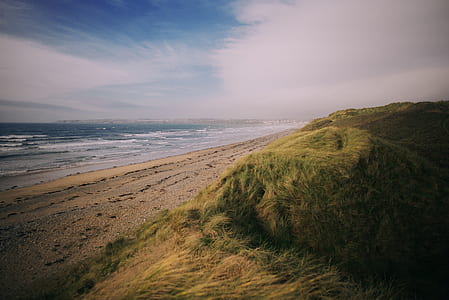 grass field near beach thumbnail