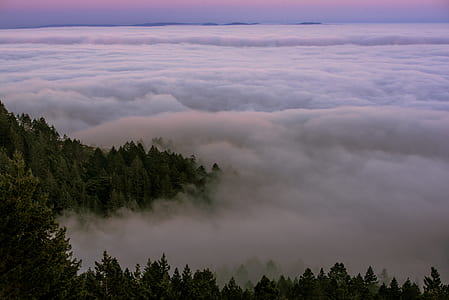 trees near clouds thumbnail
