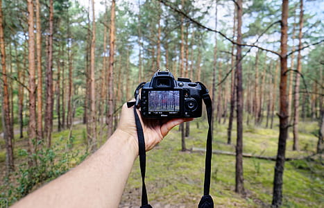 Person Showing Black Dslr Camera in Forest thumbnail