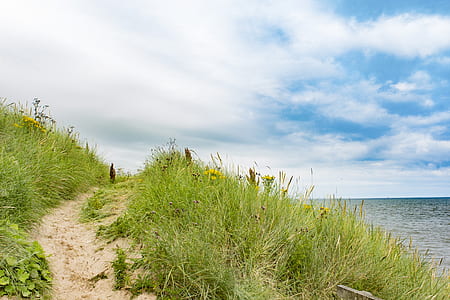 pathway between green grass filed beside body of water thumbnail