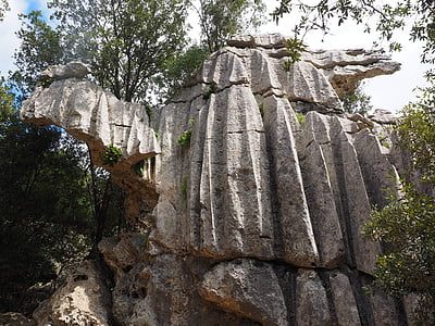 brown cliff surrounded by trees at daytime thumbnail
