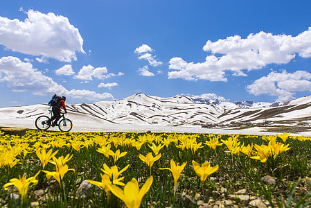 Biker going past Mountain landscape with flowers thumbnail