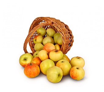 basket of apples thumbnail