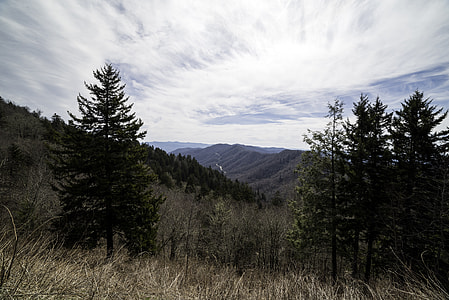 Mountain Landscape at the Newfound Gap in Great Smokey Mountains National Park, Tennessee thumbnail