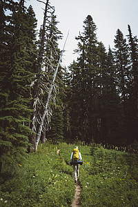 person walking on dirt road surrounded by grass and trees during daytime thumbnail