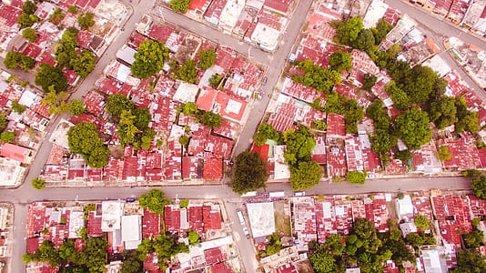 aerial view photography of houses surrounded by trees thumbnail