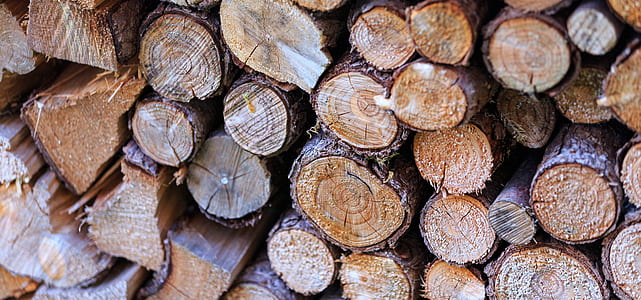 wood, tree, logs, wooden logs thumbnail