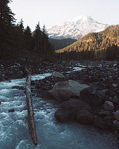 river with brown log and stones during daytime thumbnail