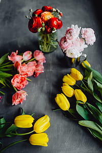 Colorful flowers on grey background with copy space thumbnail