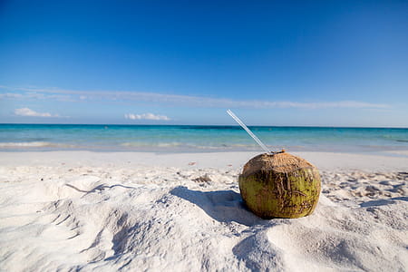 Coconut Drink On Beach Photo thumbnail
