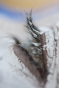 person cover in snow thumbnail