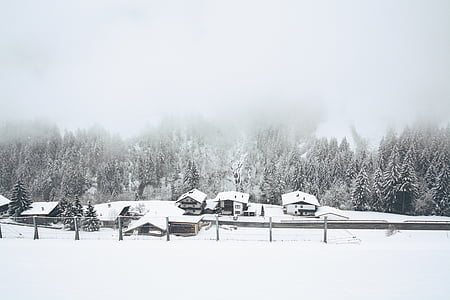 houses covered with snow thumbnail